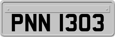 PNN1303