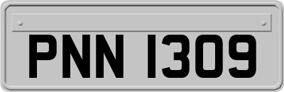 PNN1309