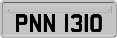 PNN1310