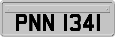 PNN1341