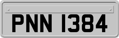 PNN1384