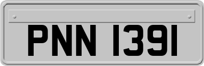 PNN1391