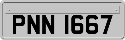PNN1667