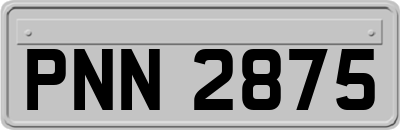 PNN2875