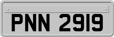 PNN2919