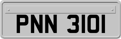 PNN3101