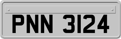 PNN3124