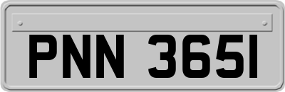 PNN3651