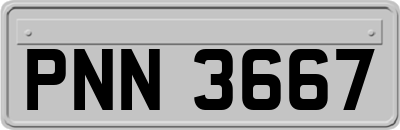 PNN3667