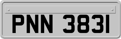 PNN3831