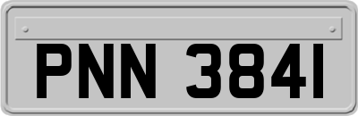 PNN3841