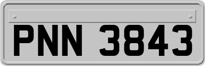 PNN3843