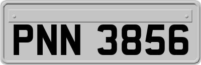 PNN3856