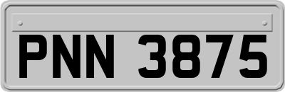 PNN3875