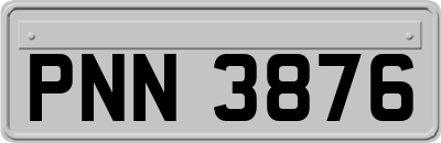 PNN3876