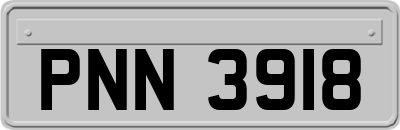 PNN3918