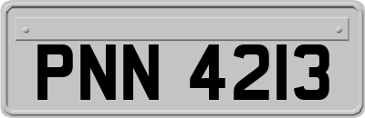 PNN4213
