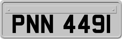 PNN4491