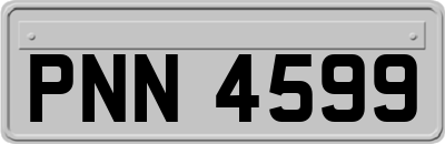 PNN4599