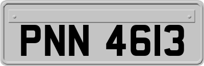 PNN4613