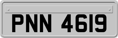 PNN4619