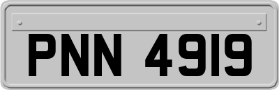PNN4919