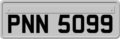 PNN5099