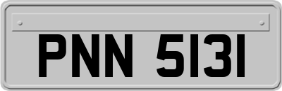 PNN5131