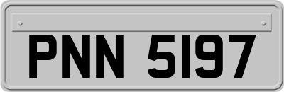 PNN5197