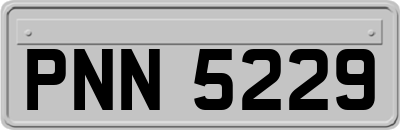 PNN5229