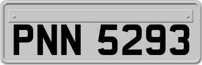 PNN5293