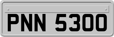 PNN5300