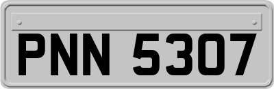 PNN5307