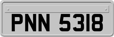 PNN5318