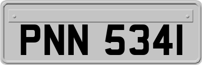 PNN5341
