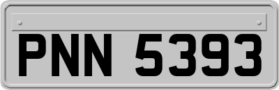 PNN5393