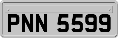 PNN5599