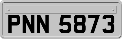 PNN5873