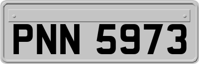 PNN5973