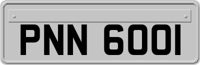 PNN6001