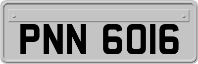 PNN6016