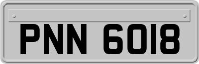 PNN6018