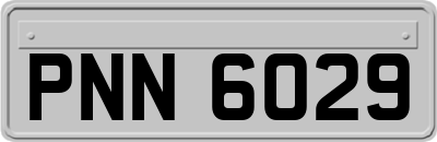 PNN6029