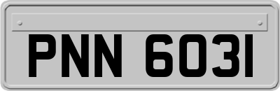 PNN6031