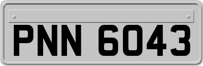 PNN6043