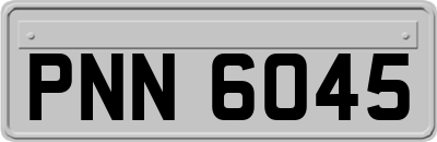 PNN6045