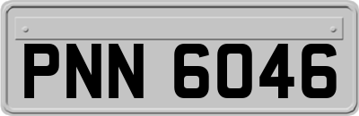 PNN6046