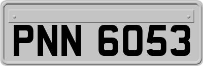 PNN6053