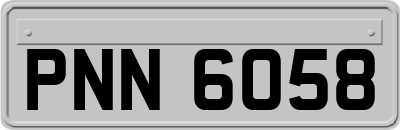 PNN6058