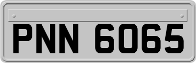PNN6065